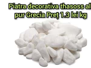 Piatra decorativa ornamentală thasoss alb pur Grecia — miniatura 3