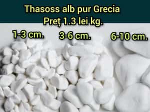 Piatra decorativa ornamentală thasoss alb pur Grecia — miniatura 9