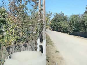 Casa de vânzare Vulturu Vrancea — miniatura 6