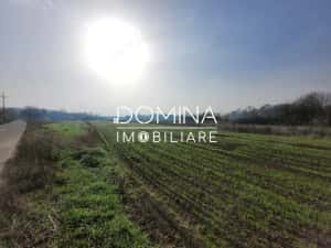 Vânzare teren intravilan - 2518 mp - strada Amurgului - Ursați — miniatura 5