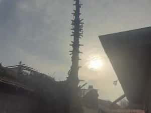 Taiere toaletare copaci evacure rezultat lemnos în tot Bucureștiul — miniatura 3