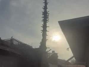 Taiere toaletare copaci evacure rezultat lemnos în tot Bucureștiul — miniatura 10