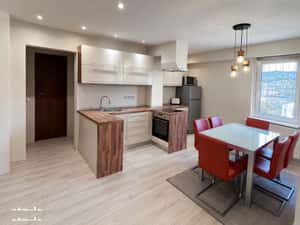 Apartament 3 camere modern in Tudor / Fortuna