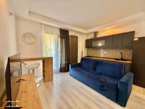 COSMOPOLIS - Apartament cu 2 camere tip studio, mobilat si utilat. — miniatura 3