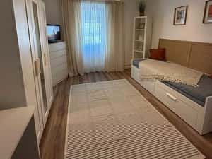 Inchiriez apartament cu o camera pentru Untold peste drum de Platinia — miniatura 6