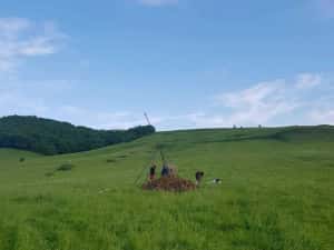 Puturi forate, realizare puturi apa, denisipari foraje puturi apa — miniatura 3