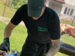 Dani,Protap,Rotisor.