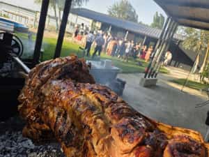 Dani,Protap,Rotisor. — miniatura 5