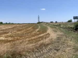 57 Hectare Teren centura cu front 485 ml pretabil parc logistic - V5480 — miniatura 3