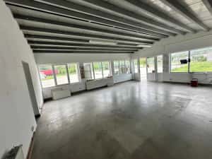 Platforma betonata+hala metalica+showroom 4000mp — miniatura 8