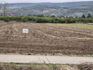 Teren Dancu cu deschidere la 2 drumuri + drum de 7 m privat — miniatura 5