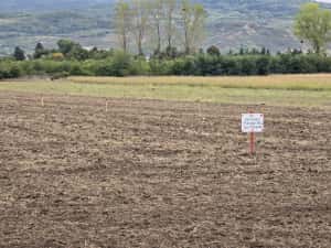 Teren Dancu cu deschidere la 2 drumuri + drum de 7 m privat — miniatura 6