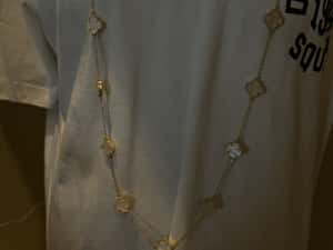 Lant Van Cleef. — miniatura 7