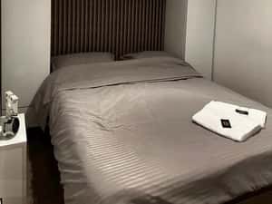 Garsoniera boema | Cartierul Armenesc | Gradina Icoanei | Renovata 202