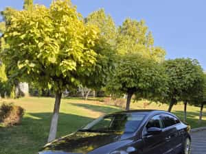Passat CC diesel euro 5 — miniatura 2