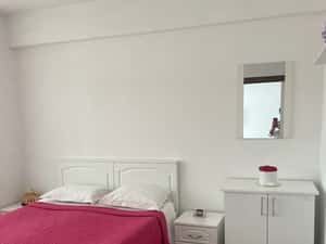 Inchiriez apartament cu 3 camere Nufarul — miniatura 3
