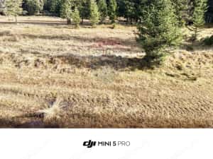 Teren de vanzare - 5000 mp - Peștera Padina — miniatura 3