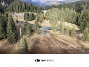 Teren de vanzare - 5000 mp - Peștera Padina — miniatura 6