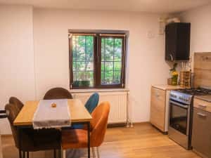 Apartament 4 camere, 130 mp, parter + demisol locuibil, garaj, lângă Complex Studențesc — miniatura 8