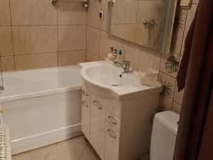 De inchiriat apartament cu o camera in zona Badea Cartan — miniatura 2