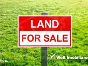 Teren ideal pentru sala de evenimente sau turism ,5800mp ,in Chinteni — miniatura 8