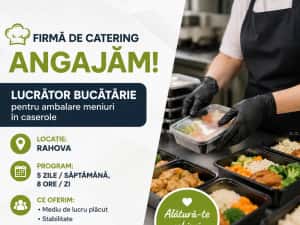 Firma catering angajează lucrator bucatarie si spalator vase