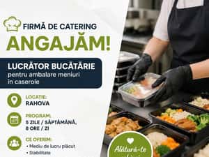 Firma catering angajează lucrator bucatarie si spalator vase — miniatura 4