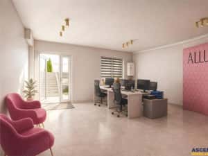 3D! Eleganta unitate,curte,parcari rezervate, Maurer,Targu Mures: locuinta birou comercial. — miniatura 3