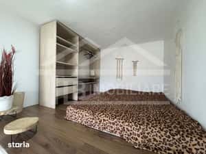 Apartament cu o cameră, 50mp, Zona Ultracentral — miniatura 4