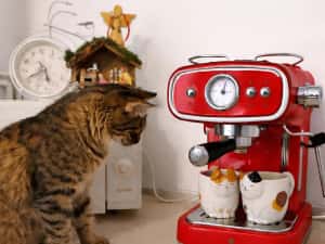 Expresor cafea cu macinata, sigilat la cutie cu Bon garantie — miniatura 2
