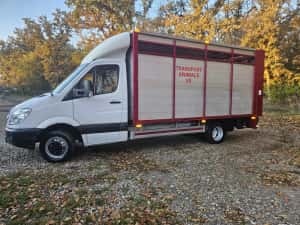 Mercedes Sprinter Transport Animale  Vii
