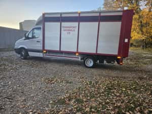 Mercedes Sprinter Transport Animale  Vii — miniatura 2