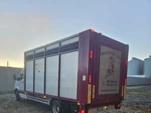 Mercedes Sprinter Transport Animale  Vii — miniatura 5