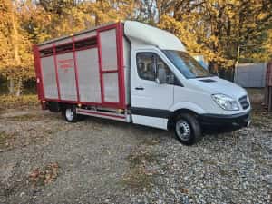 Mercedes Sprinter Transport Animale  Vii — miniatura 6