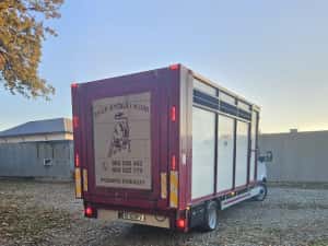 Mercedes Sprinter Transport Animale  Vii — miniatura 7