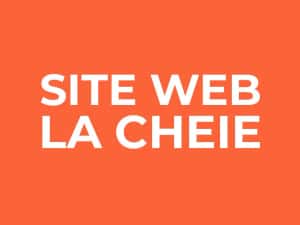 Creare website modern, rapid si la pret accesibil! de la 749 lei