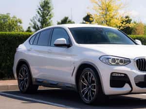 BMW X4 xDrive25d M Sport Automată 231 HP Diesel — miniatura 5