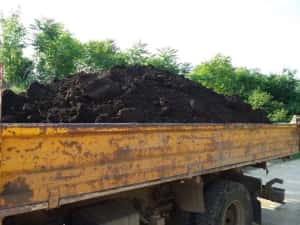 Golire subsoliri,mansarde Transport Moloz si apartamente