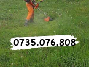 Tund iarba ieftin Bucuresti — miniatura 2