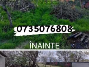 Tund iarba ieftin Bucuresti — miniatura 3