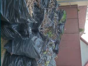 Tund iarba ieftin Bucuresti — miniatura 4