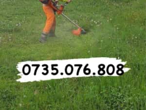 Tund iarba ieftin Bucuresti — miniatura 6