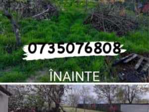 Tund iarba ieftin Bucuresti — miniatura 7