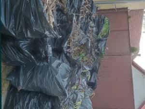 Tund iarba ieftin Bucuresti — miniatura 8