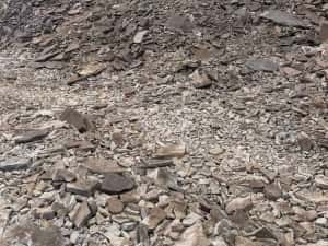 Cariera de piatra bazaltica,5 ha,cu permis de exploatare - ANRM — miniatura 3