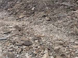 Cariera de piatra bazaltica,5 ha,cu permis de exploatare - ANRM — miniatura 9