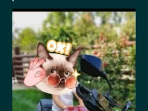 Honda cb650r 2021 — miniatura 3