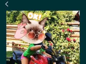 Honda cb650r 2021 — miniatura 4