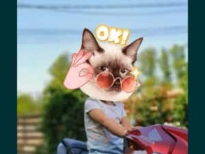 Honda cb650r 2021 — miniatura 5