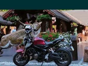 Honda cb650r 2021 — miniatura 7